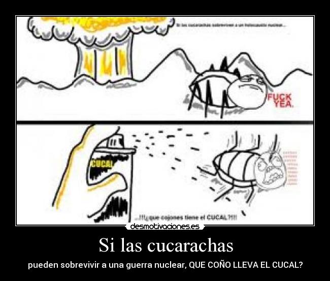 Si las cucarachas -