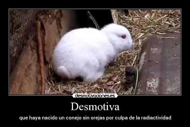 Desmotiva -