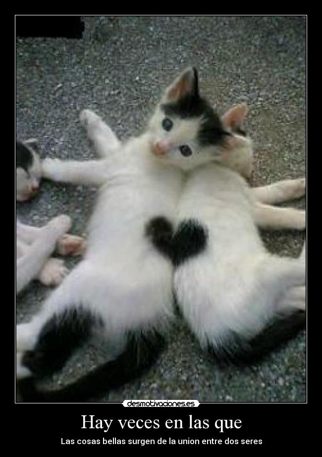 Hay veces en las que -