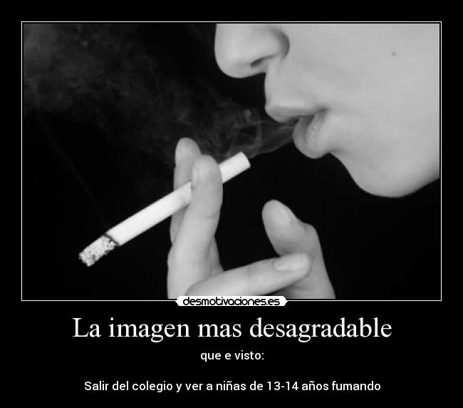 carteles perros gatos animales desmotivaciones motivacion cartel desmotivaciones