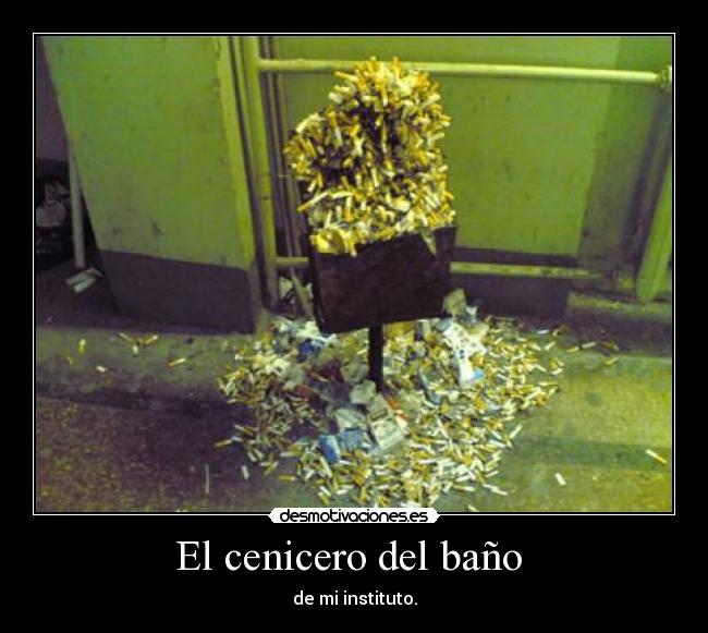 carteles gato desmotivaciones