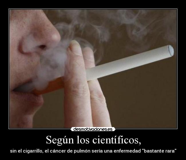 carteles fumar pulmon desmotivaciones