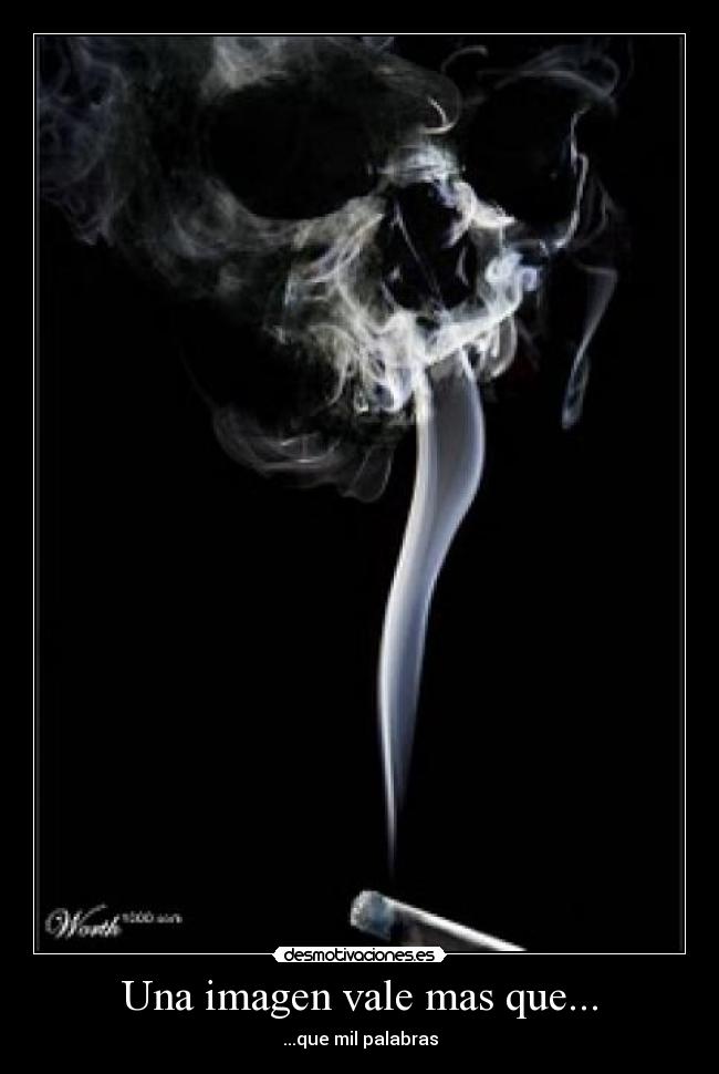 carteles wwwdesmotivacioneses desmotivaciones