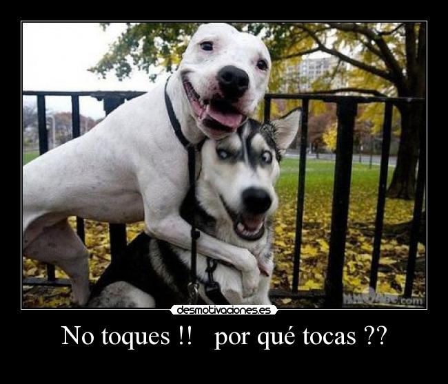 No toques !! por qué tocas ?? -
