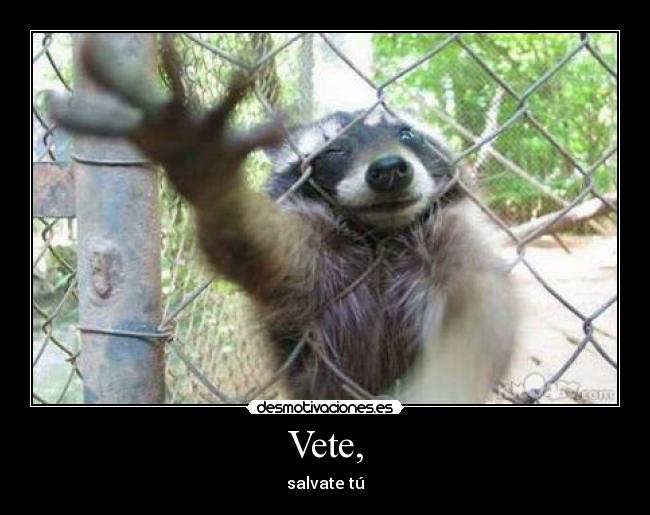 Vete, - salvate tú
