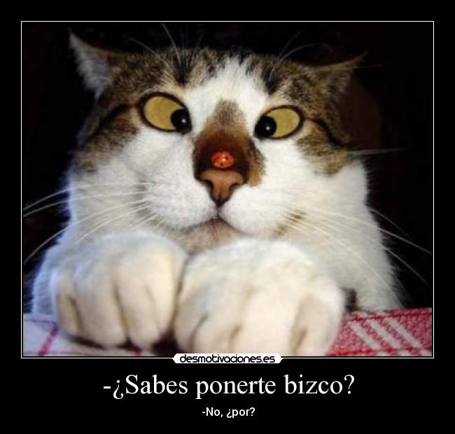 -¿Sabes ponerte bizco? - 
