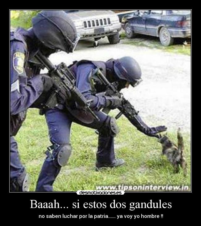 Baaah... si estos dos gandules -