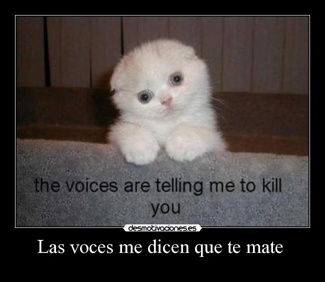 Las voces me dicen que te mate -