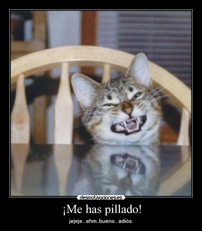 ¡Me has pillado! - 