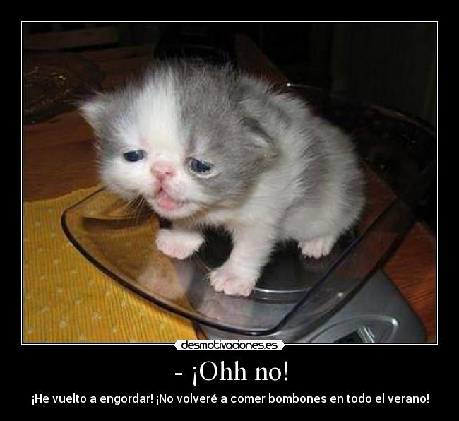 - ¡Ohh no! - ¡He vuelto a engordar! ¡No volveré a comer bombones en todo el verano!