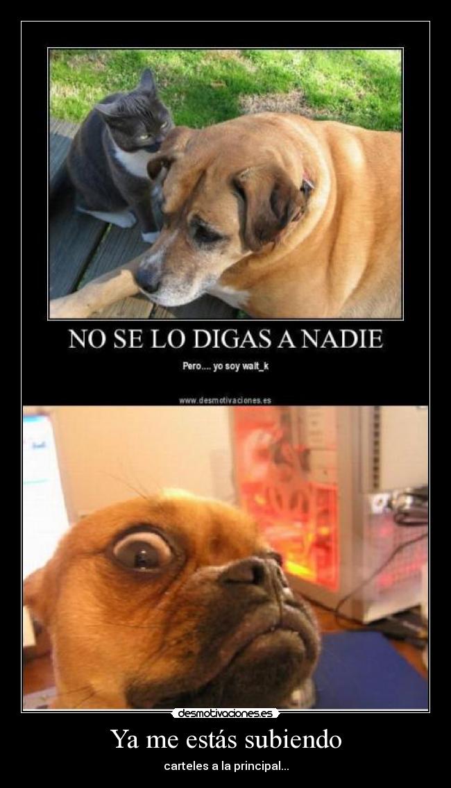 Ya me estás subiendo - carteles a la principal...