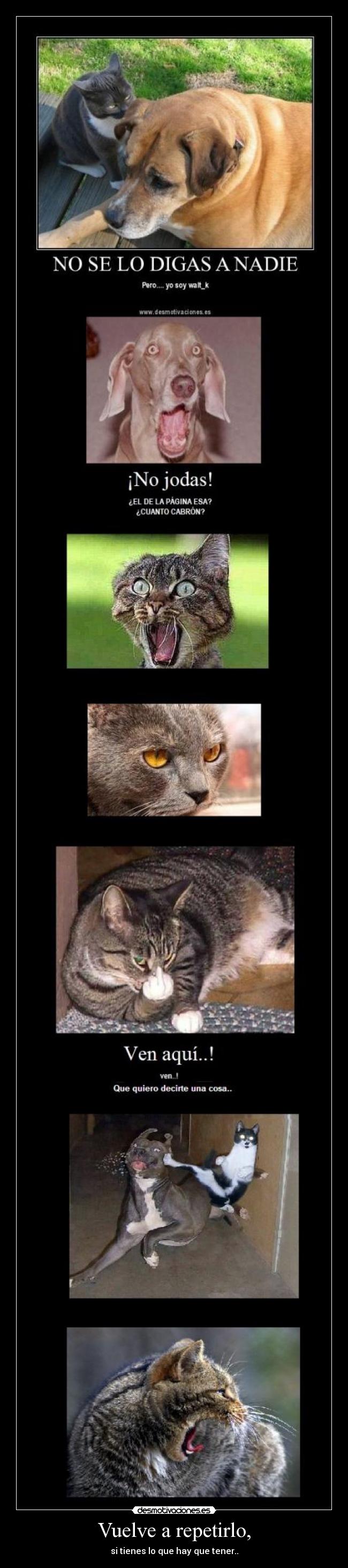 Vuelve a repetirlo, - 