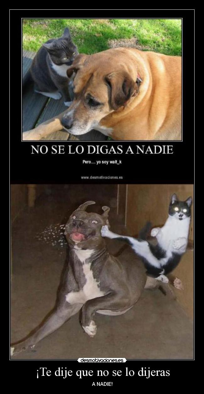 ¡Te dije que no se lo dijeras -