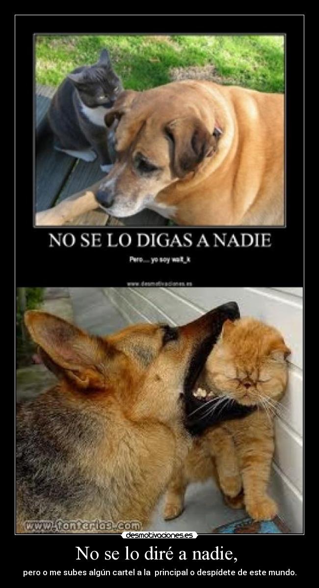 No se lo diré a nadie, -