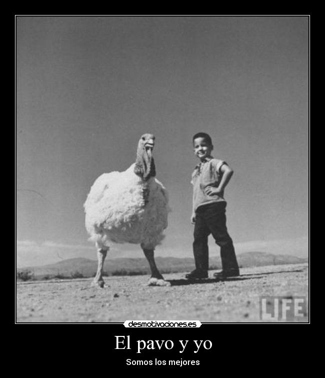El pavo y yo -