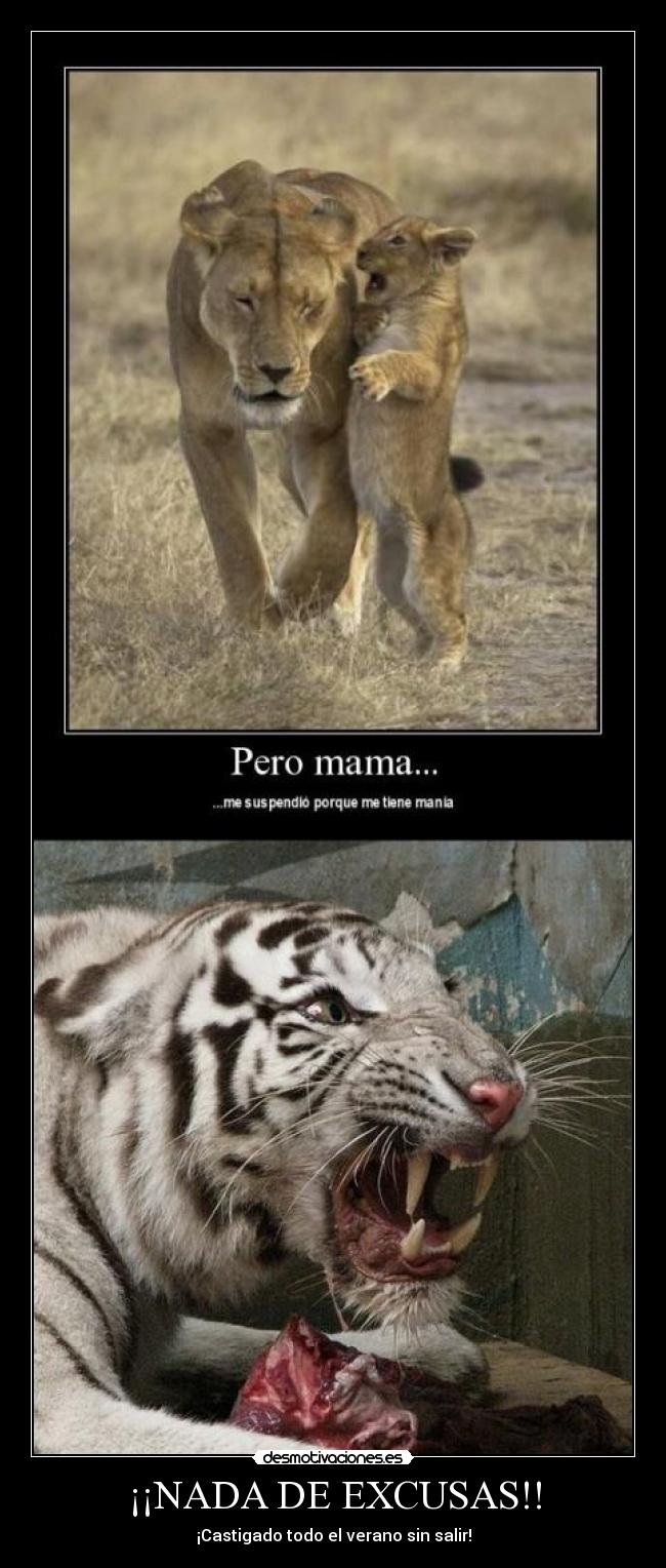 ¡¡NADA DE EXCUSAS!! - 