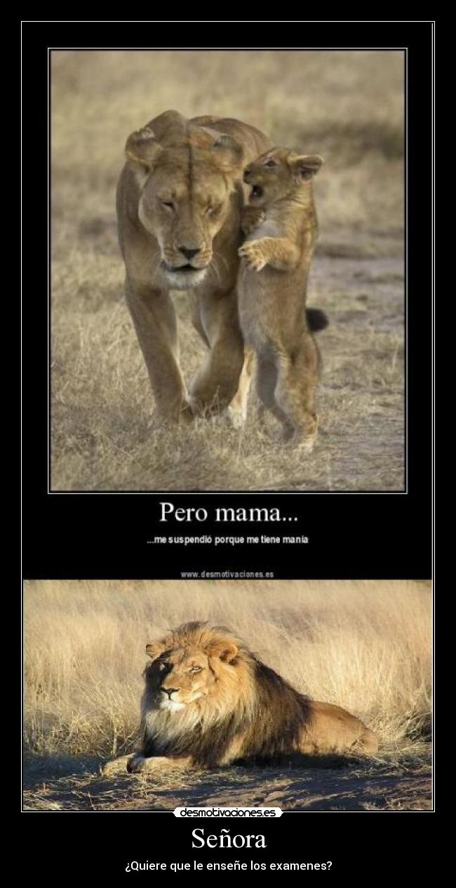 Señora - ¿Quiere que le enseñe los examenes?