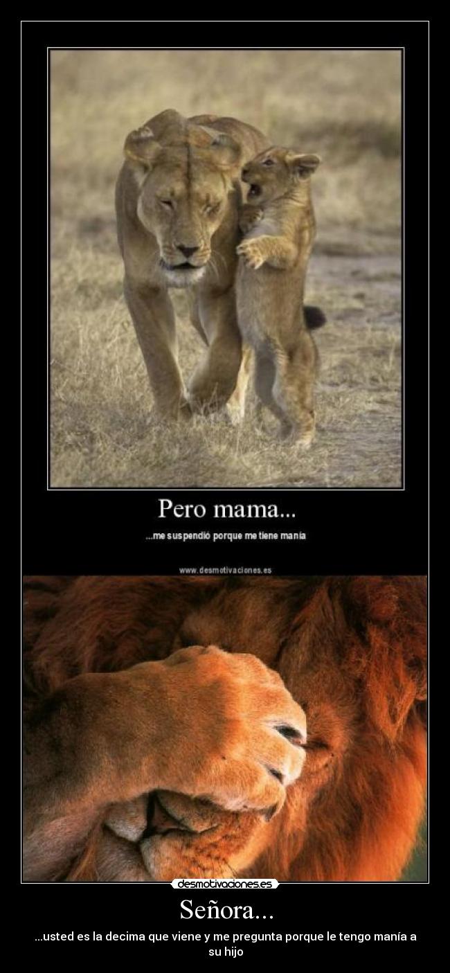 Señora... - ...usted es la decima que viene y me pregunta porque le tengo manía a su hijo