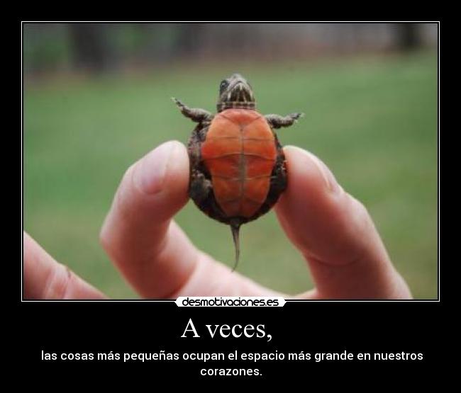A veces, -