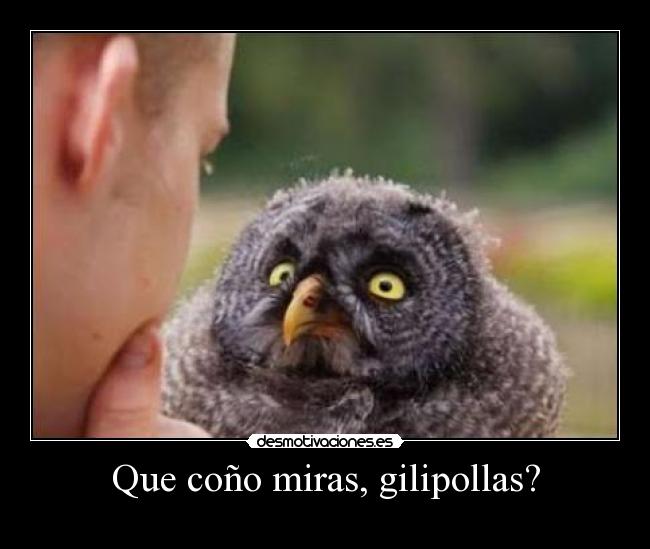Que coño miras, gilipollas? -