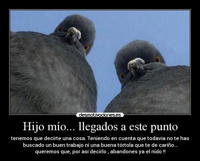 Hijo mío... llegados a este punto - tenemos que decirte una cosa. Teniendo en cuenta que todavia no te has
buscado un buen trabajo ni una buena tórtola que te de cariño...
queremos que, por así decirlo , abandones ya el nido !!