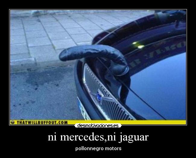 ni mercedes,ni jaguar - 