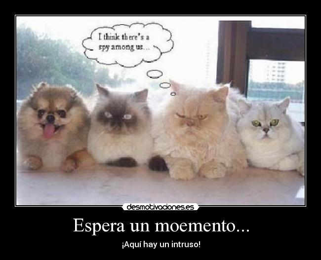 Espera un moemento... -