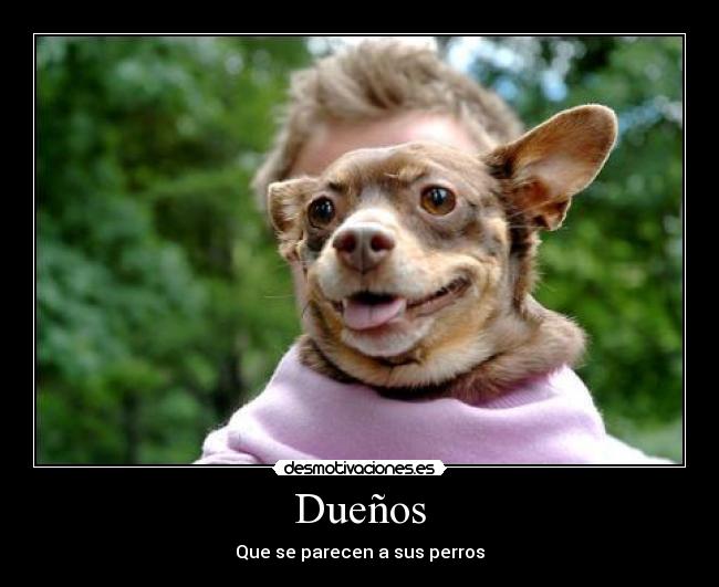 Dueños -