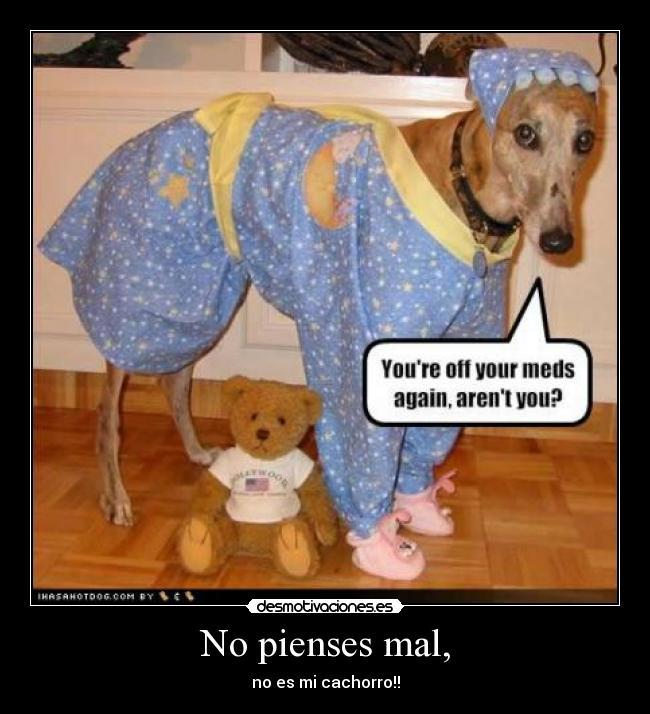No pienses mal, - no es mi cachorro!!