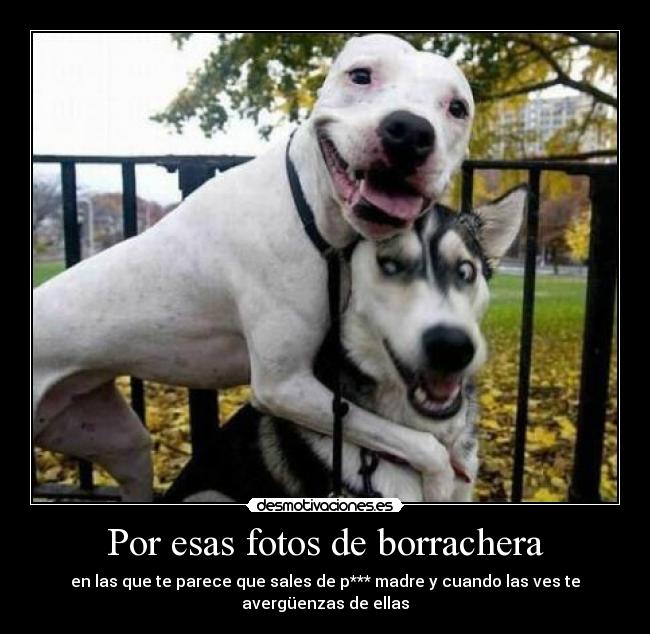 Por esas fotos de borrachera - en las que te parece que sales de p*** madre y cuando las ves te avergüenzas de ellas