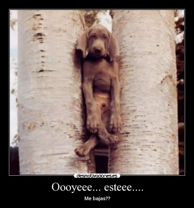 Oooyeee... esteee.... - Me bajas??