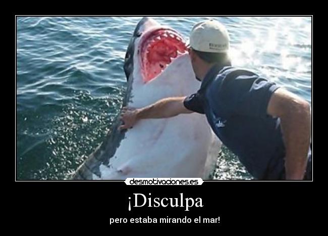¡Disculpa -