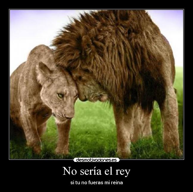 No sería el rey - si tu no fueras mi reina