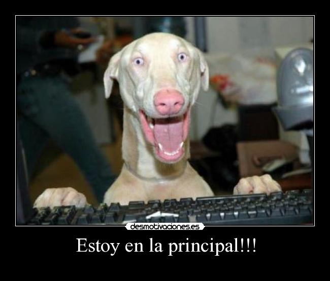 Estoy en la principal!!! - 
