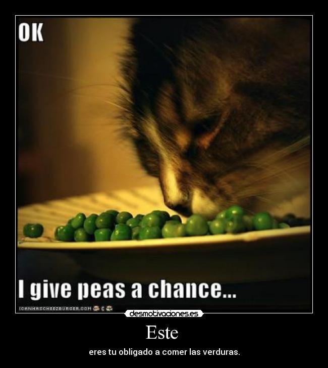 Este  - eres tu obligado a comer las verduras.