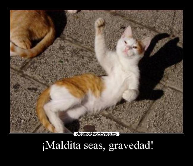 ¡Maldita seas, gravedad! - 