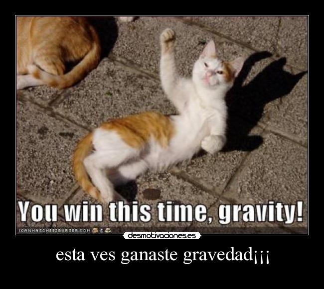 carteles esta ves ganaste gravedad desmotivaciones