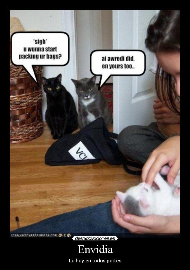Envidia - La hay en todas partes