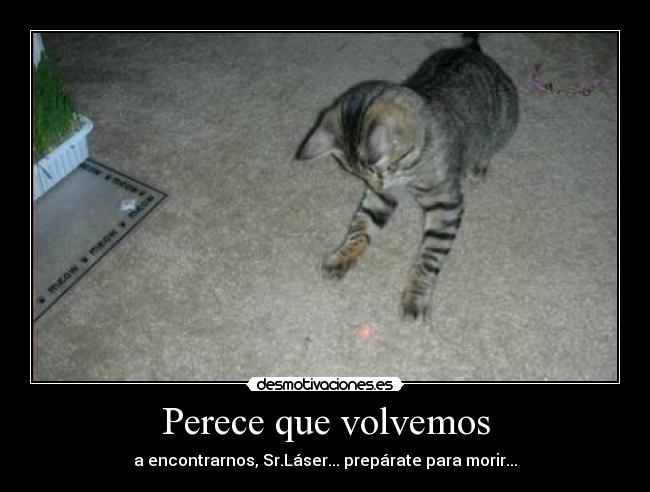 Perece que volvemos -