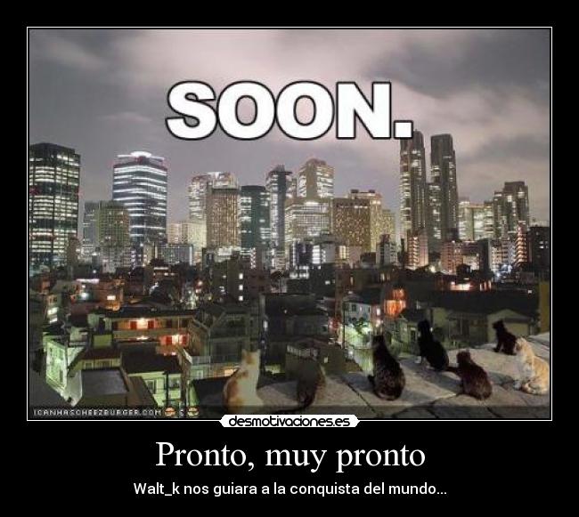 carteles gatos walt_k mundo desmotivaciones