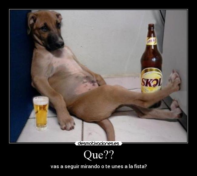 Que?? - 