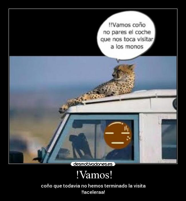 !Vamos! - coño que todavia no hemos terminado la visita
!!aceleraa!