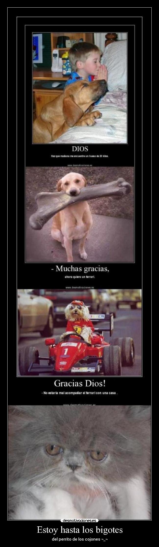 Estoy hasta los bigotes -