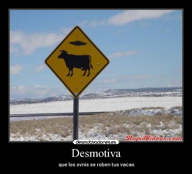 carteles ovnis vaca desmotivaciones