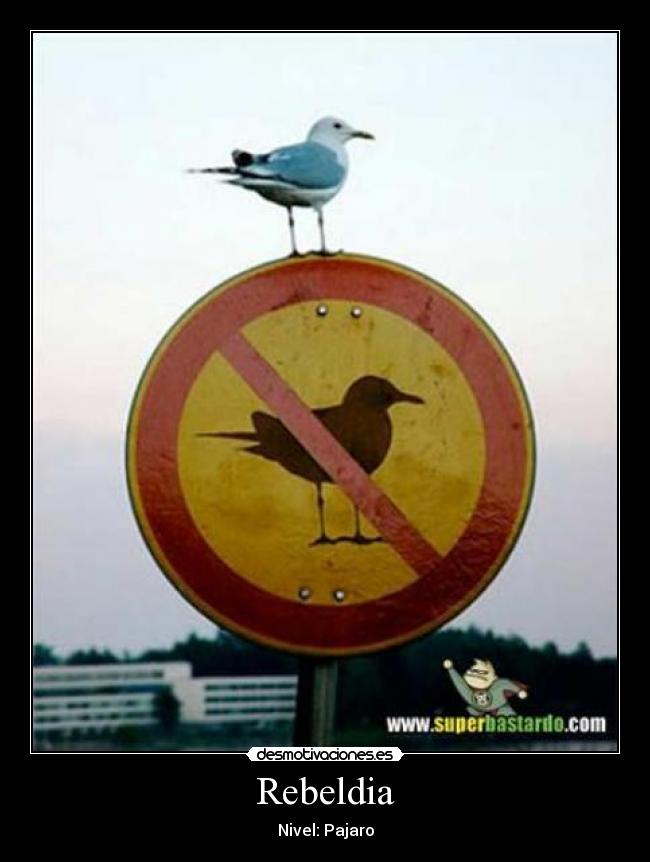 Rebeldia -