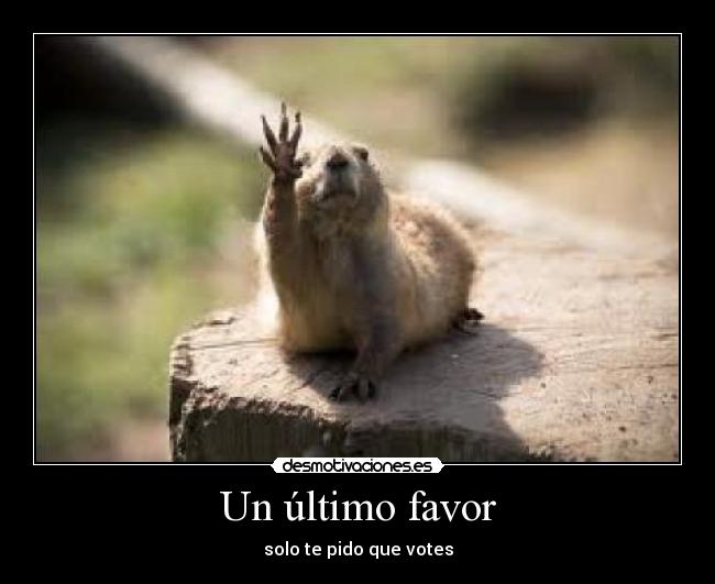 Un último favor - 