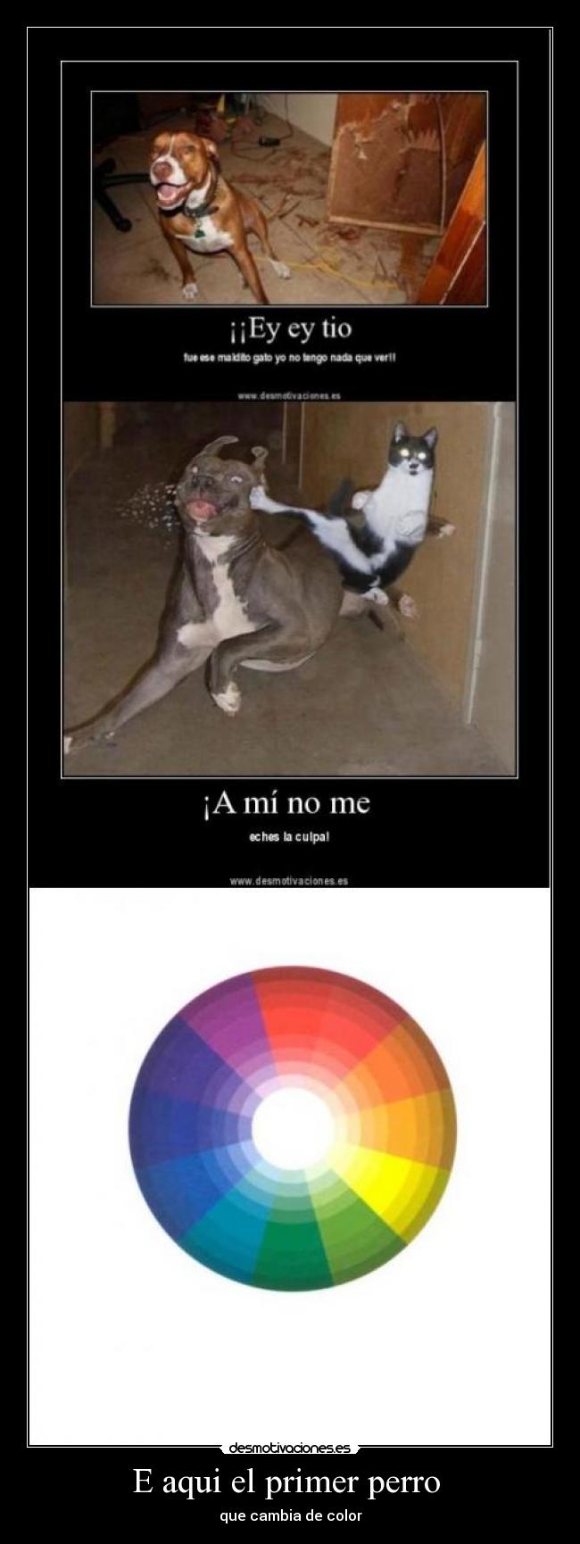 E aqui el primer perro - que cambia de color