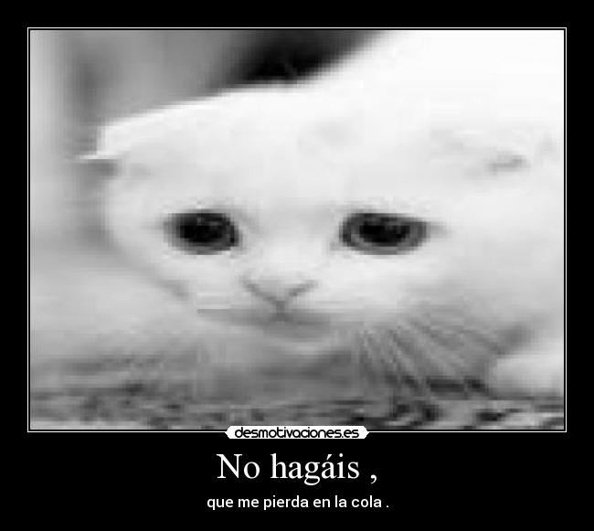 No hagáis , -