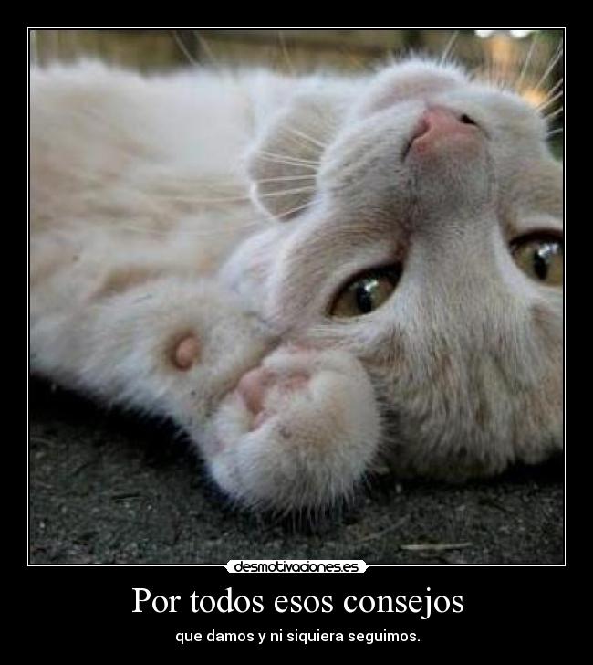 carteles consejos desmotivaciones