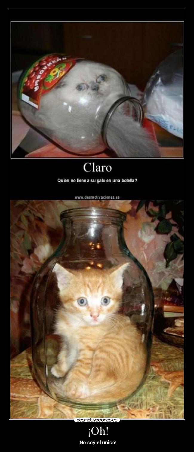 ¡Oh! - ¡No soy el único!